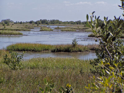 Cedar Key Railroad Trestle Trail View
